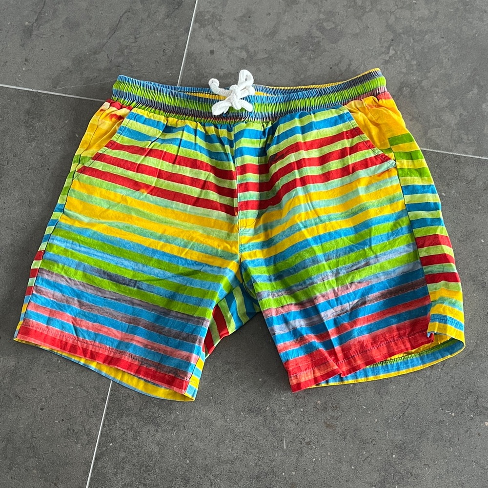 Adam Mar Colorful Striped Swim Shorts